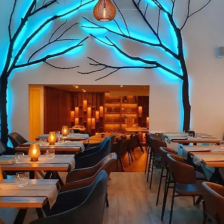 Chic Csengery By Newave * Budapest